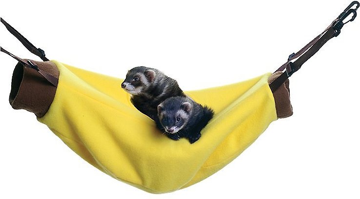 4. Marshall Hanging Ferret Hammock