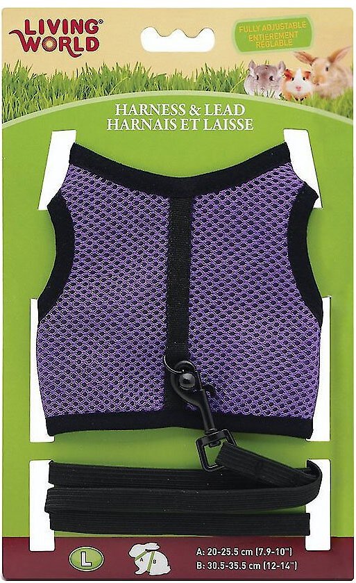 10. Living World Small Animal Harness and Leash