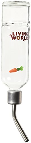 5. The Living World Eco Water Bottle