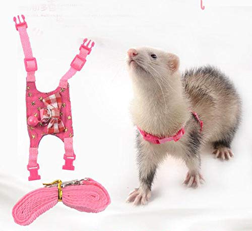 6. LXT&YY Small Animal Outdoor Walking Vest Harness and Leash Set