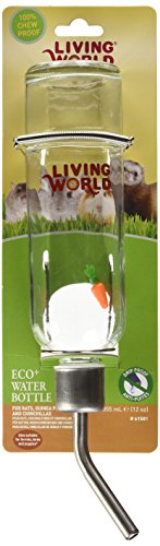 5. The Living World Eco Water Bottle