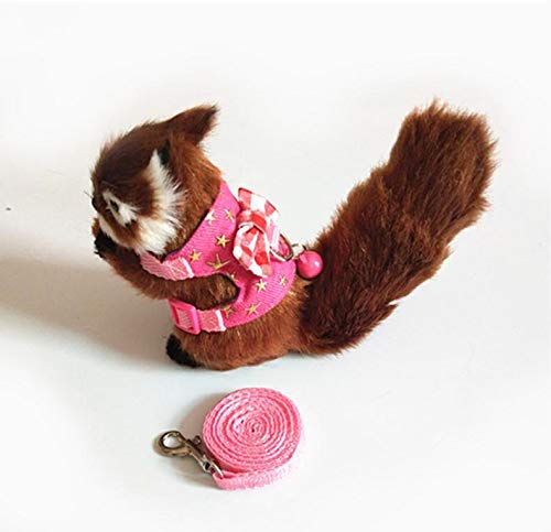 6. LXT&YY Small Animal Outdoor Walking Vest Harness and Leash Set